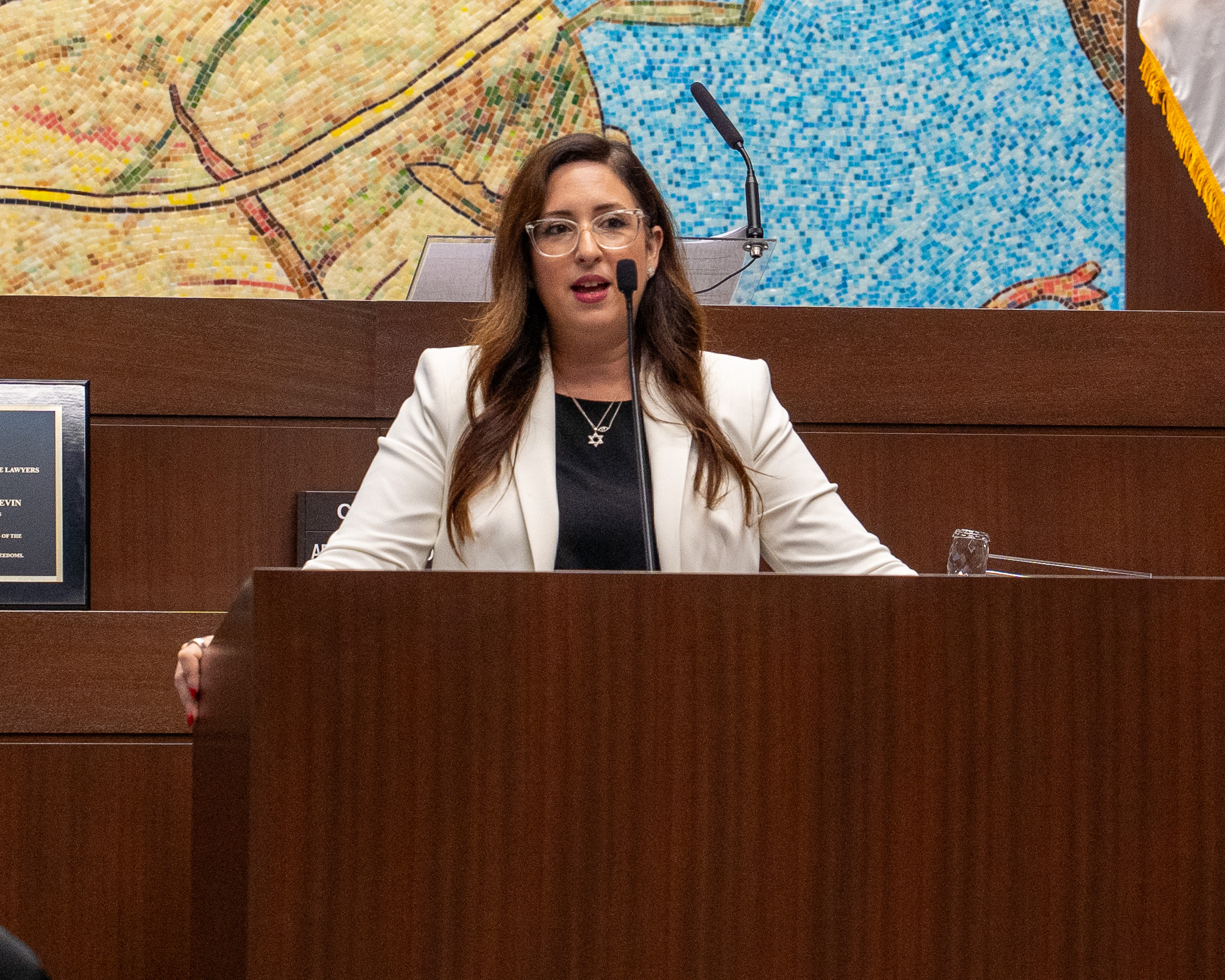 Highlights from the Investiture of the Honorable Jennifer Trautman Levin