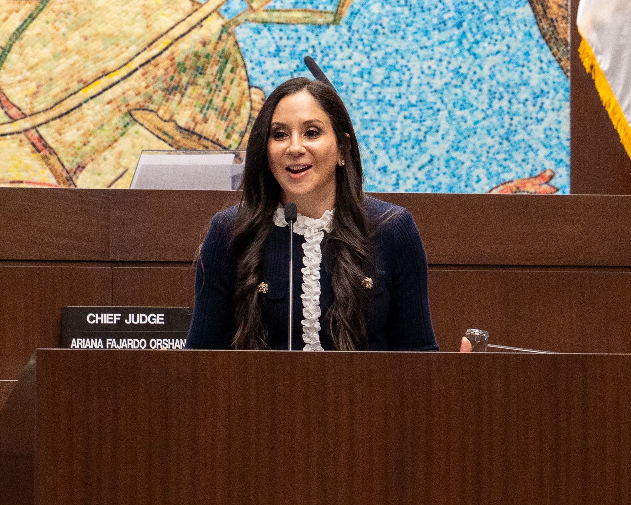 Highlights from the Investiture of the Honorable Jennifer Trautman Levin