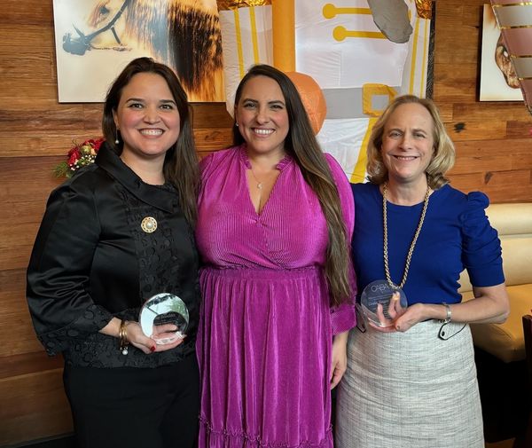 Judicial Excellence: Congratulations to Judges Gina Beovides and Linda Singer Stein